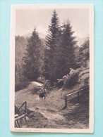 CPA Heiden (Suisse) - Am Waldrand (bei Heiden) - Heiden