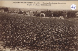 GEVREY CHAMBERTIN Clos Des Ruchottes-Chambertin (Propriété De La Maison THOMAS-BASSOT) - Gevrey Chambertin