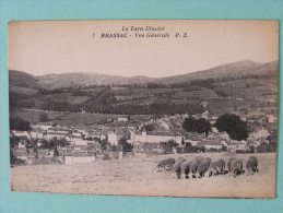 CPA Brassac (81) - Vue Générale (moutons, Brebis, Troupeau) - Brassac