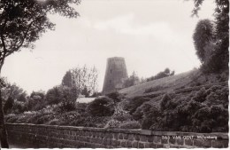 SAS VAN GENT, Molenberg;  FOTOKAART Met  Romp  MOLEN - Sas Van Gent