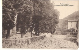 VALLERAUGUE  La Promenade Des Marronniers Neuve TTB - Valleraugue