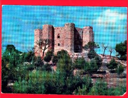 ITALIA - PUGLIA - Cartolina Viaggiata Del 1973 - Andria (Barletta-Andria-Trani) - Castel Del Monte - Andria