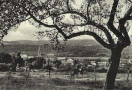 Ferrières -- Centre  Vu  Du Thier  Vers  L' Eglise.   (2 Scans) - Ferrieres