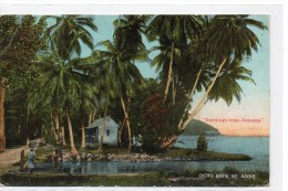 Tarjeta Postal  De Jamaica. - Sonstige & Ohne Zuordnung