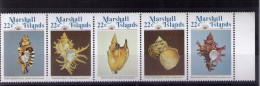 MARSHALL ISLANDS Shells - Marshall