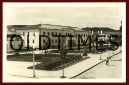 MACEDO DE CAVALEIROS - JARDIM PUBLICO - PROVA DE EDITOR - 1950 REAL PHOTO PC - Bragança