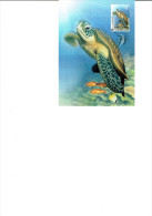 Carte Entier Postale F. D. C. AUSTRALIE - Chelonia Mydas / Poissons - Turtles