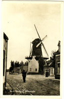 Sluis - Molenzicht - & Windmill - Sluis