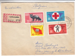 Croix Rouge - Lénine - Drapeaux - Santé - Animaux - Allemagne - Rép Démocratique - Lettre Rec De 1963 - Luckenwalde - Cartas & Documentos