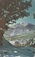 Pikes Peak In Winter - Colorado CO - Other & Unclassified