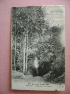 CP  VALMONT N°37 LE CHEMIN DU VIVIER - ECRITE EN 1904 - Valmont