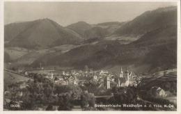 Sommerfrische Waidhofen An Der Ybbs - Ed. Ledermann, Carte Non Circulée - Waidhofen An Der Ybbs