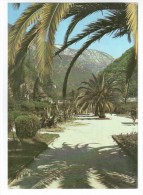 In The Komsomol Park - Palm Trees - Gagra - Abkhazia - 1982 - Georgia USSR - Unused - Georgien