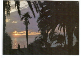Sunset At Sea - Palm Trees - Gagra - Abkhazia - 1982 - Georgia USSR - Unused - Géorgie
