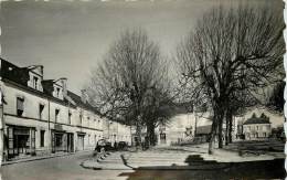 PARCAY LES PINS PLACE DU MARCHE ET LA BOULANGERIE COOPERATIVE - Sonstige & Ohne Zuordnung