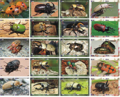 A02407 China Phone Cards Insect Puzzle 80pcs - Other & Unclassified