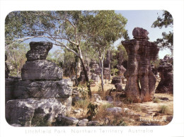 (508) Australia - NT - Litchfield National Park - Ohne Zuordnung