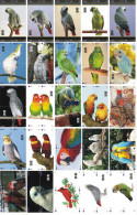 B02177 China Phone Cards Parrot Puzzle 100pcs - Papegaaien & Parkieten