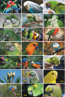 B02179 China Phone Cards Parrot Puzzle 84pcs - Parrots