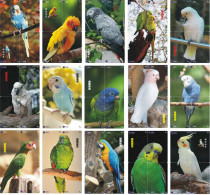 B02180 China Phone Cards Parrot Puzzle 60pcs - Loros