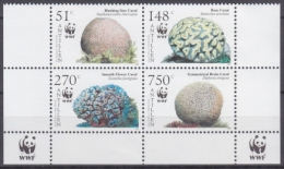 Antilles Neerlandaises - Netherlands 2005 Yvert 1554-57, WWF, Protection Of Nature, Coral - MNH - Antille