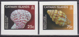 Cayman Islands 2010 Yvert 1145-46, Fauna, Sea Shells - Adhesive - MNH - Iles Caïmans