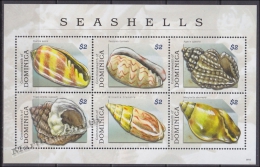 Dominica 2009 Yvert BF 535, Fauna Sea Shells - Miniature Sheet - MNH - Dominica (1978-...)