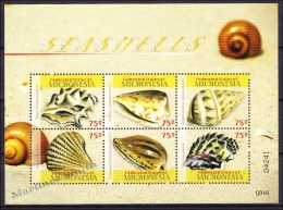 Micronesia 2009 Yvert 1694-99, Fauna, Sea Shells - MNH - Micronesia