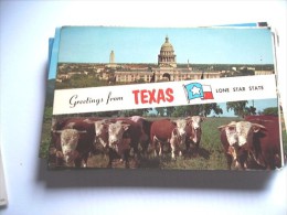 Amerika America USA TX Texas Lone Star State Cow - Andere & Zonder Classificatie