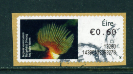 IRELAND - 2013  Post And Go/ATM Label  Red Tube Worm  Used On Piece As Scan - Frankeervignetten (Frama)