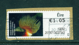 IRELAND - 2013  Post And Go/ATM Label  Red Tube Worm  Used On Piece As Scan - Affrancature Meccaniche/Frama