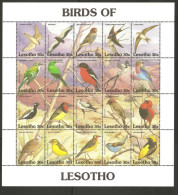 O)  1992 LESOTHO-AFRICA, BIRDS, BLOCK MNH, TONED. - Lesotho (1966-...)