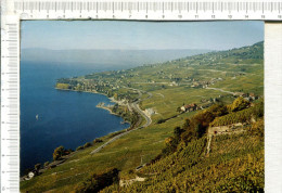 VIGNOBLES De LAVAUX  -  CULLY -  GRANDVAUX - EPESSES  -  RIEX  - - Cully