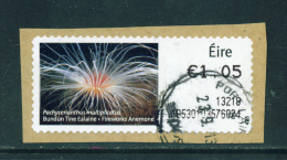 IRELAND - 2012  Post And Go/ATM Label  Fireworks Anenome  Used As Scan - Franking Labels