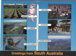 (800) Australia - SA - Greetings - Sonstige & Ohne Zuordnung