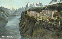 CPA ( Suisse) SEELISBERG - Seelisberg