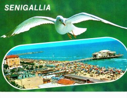 Riviera Adriatica-senigallia - Senigallia