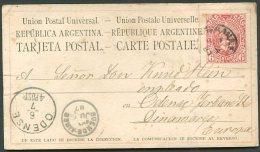 ARGENTINA TO DENMARK Postal Stationery 1887 Parana Cancellation VF - Postal Stationery