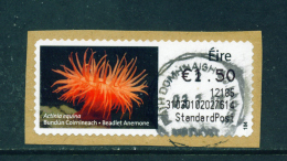 IRELAND - 2011  Post And Go/ATM Label  Beadlet Anenome  Used On Piece As Scan - Frankeervignetten (Frama)