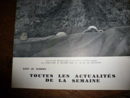 L' Illustration 1943  Bielgorod (URSS); Syracuse; Palerme; Torpilles Marines; Nord-Paris Bombardé; Meudon ;Peau-éléphant - L'Illustration