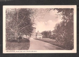 AK Belvedere Blick Auf Das Castellan-haus + Unused Stamp !! - Weimar