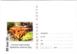 Bulgaria / Bulgarie 2011  Poisonous Mushrooms   Postal Card - Postcards