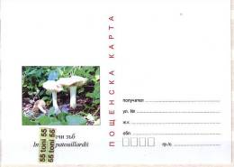 Bulgaria / Bulgarie 2011  Poisonous Mushrooms   Postal Card - Postales