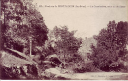 43 - HAUTE LOIRE - Montfaucon - La Crussinnière, Route De St Didier  - Carte Animée - - Montfaucon En Velay