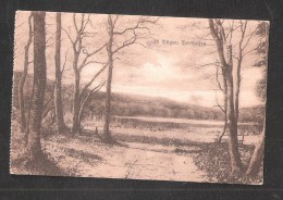 AK  Rügen Ungelaufen Unused POSTCARD - Ruegen