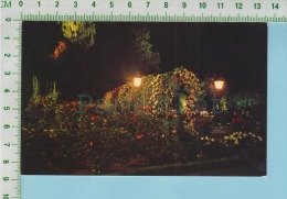 Victoria ( Rose Garden Illuminated The Butchart Gardens  ) Post Card Carte Postale 2 Scan - Victoria