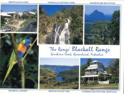 (700) Australia - QLD - Blackhall Range + Rainbow Lorikeet - Sunshine Coast