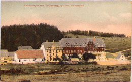 Souvenir De Mayence - Feldberg