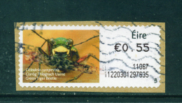 IRELAND - 2010  Post And Go/ATM Label  Green Tiger Beetle  Used On Piece As Scan - Affrancature Meccaniche/Frama
