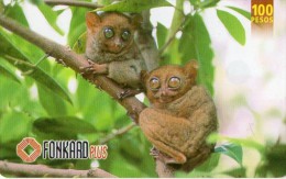 TELECARTE  PHILIPPINES  100 Pesos    Philippines Tarsier's  ***** - Philippines